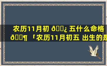 农历11月初 🌿 五什么命格 🐶 「农历11月初五 出生的是什么星座」